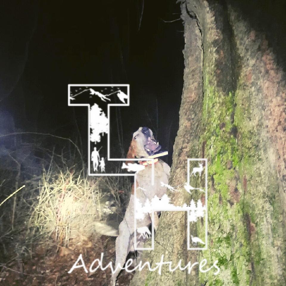 Release the Hounds! • True Life Hunting Adventures