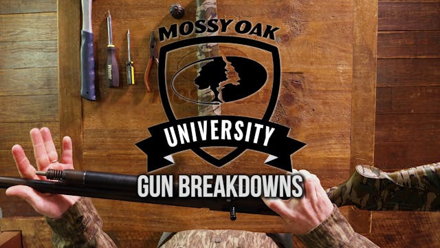 Gun Breakdowns