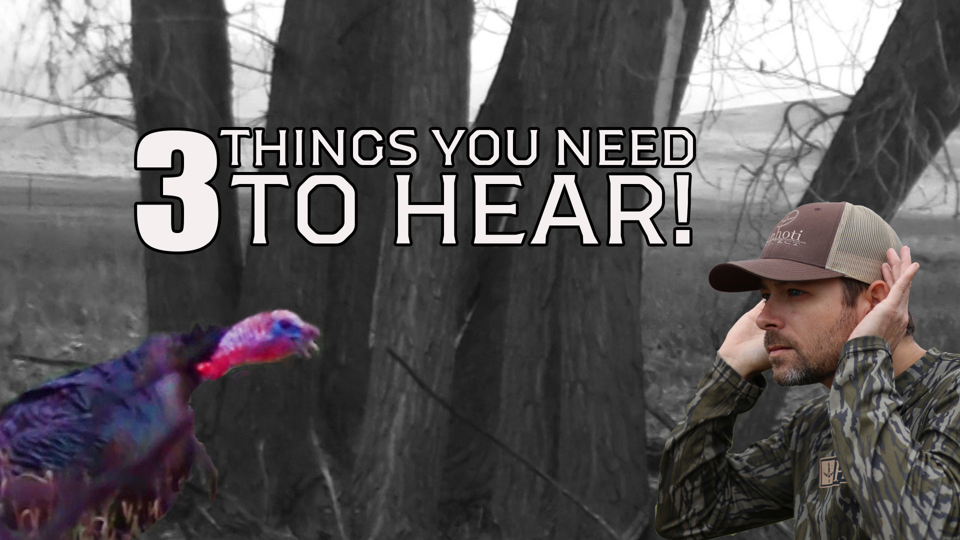 Takeaways • Train Your Ears For Spring • Pinhoti Project