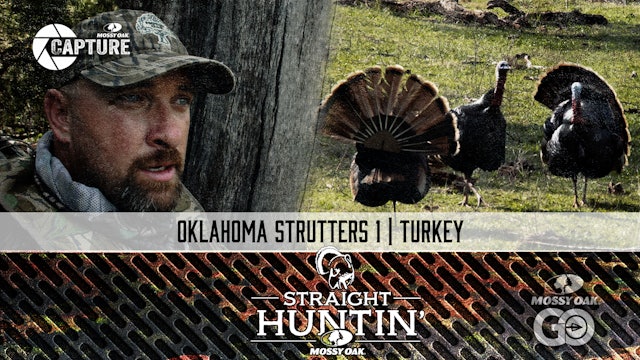 Oklahoma Strutters 1 • Rio Grande Hunting • Straight Huntin'