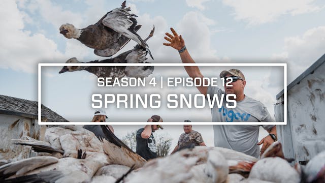 Last Pass Episode 12 • Spring Snows