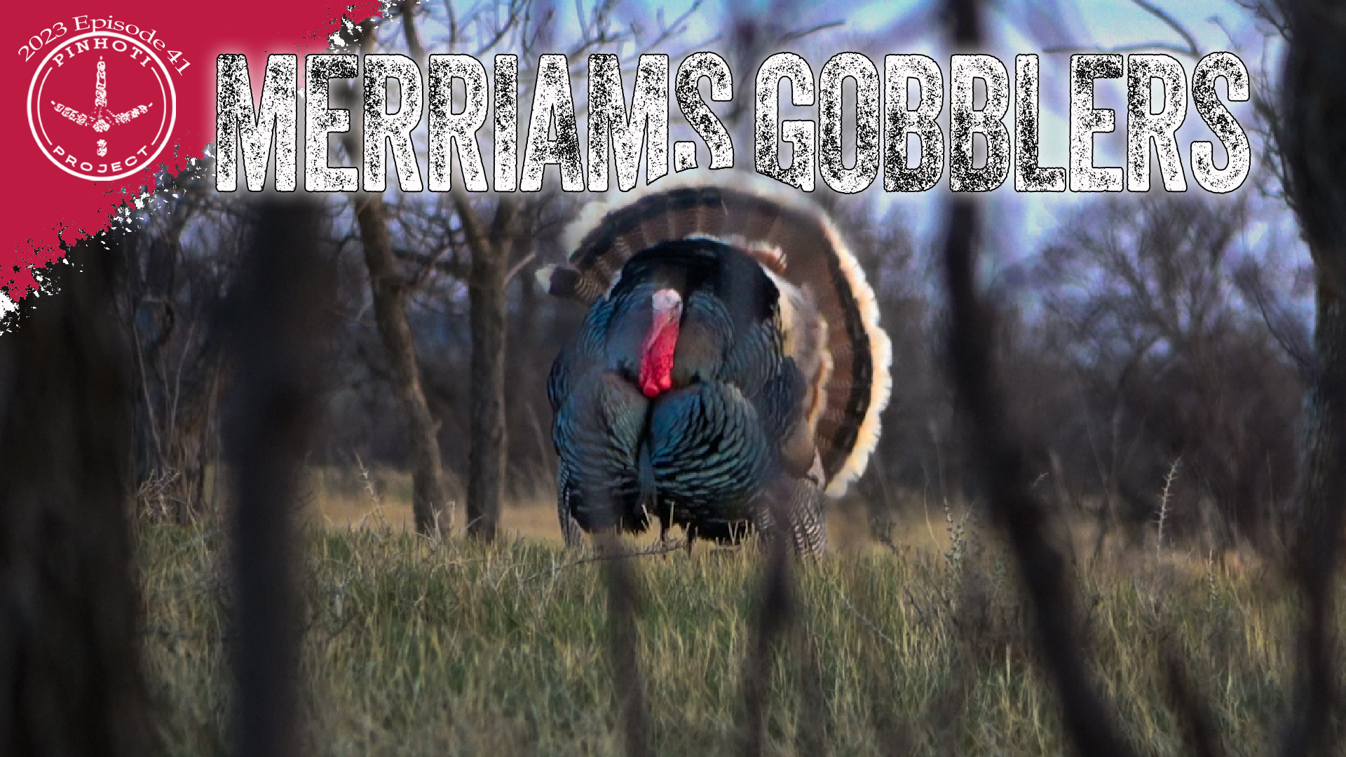 Pinhoti 2023 Ep 41 • Pinhoti Project