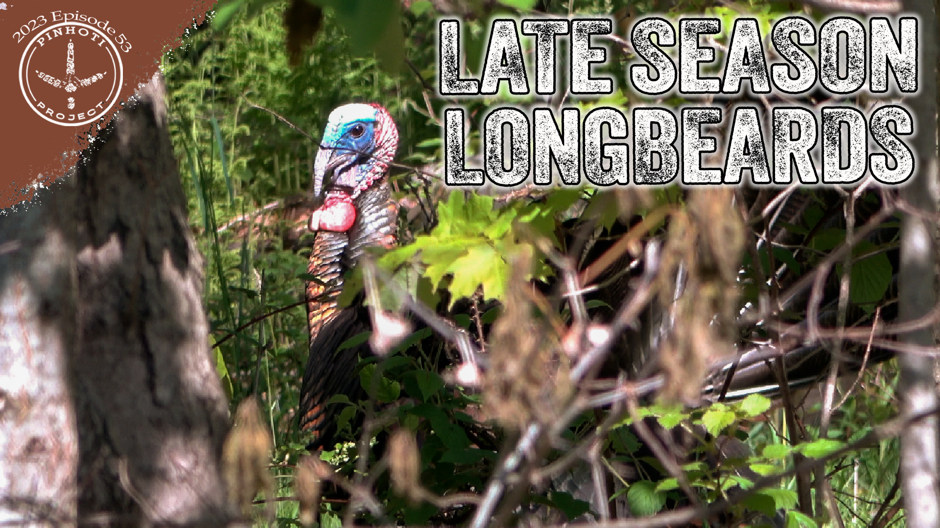 Pinhoti 2023 Ep 53 • Pinhoti Project