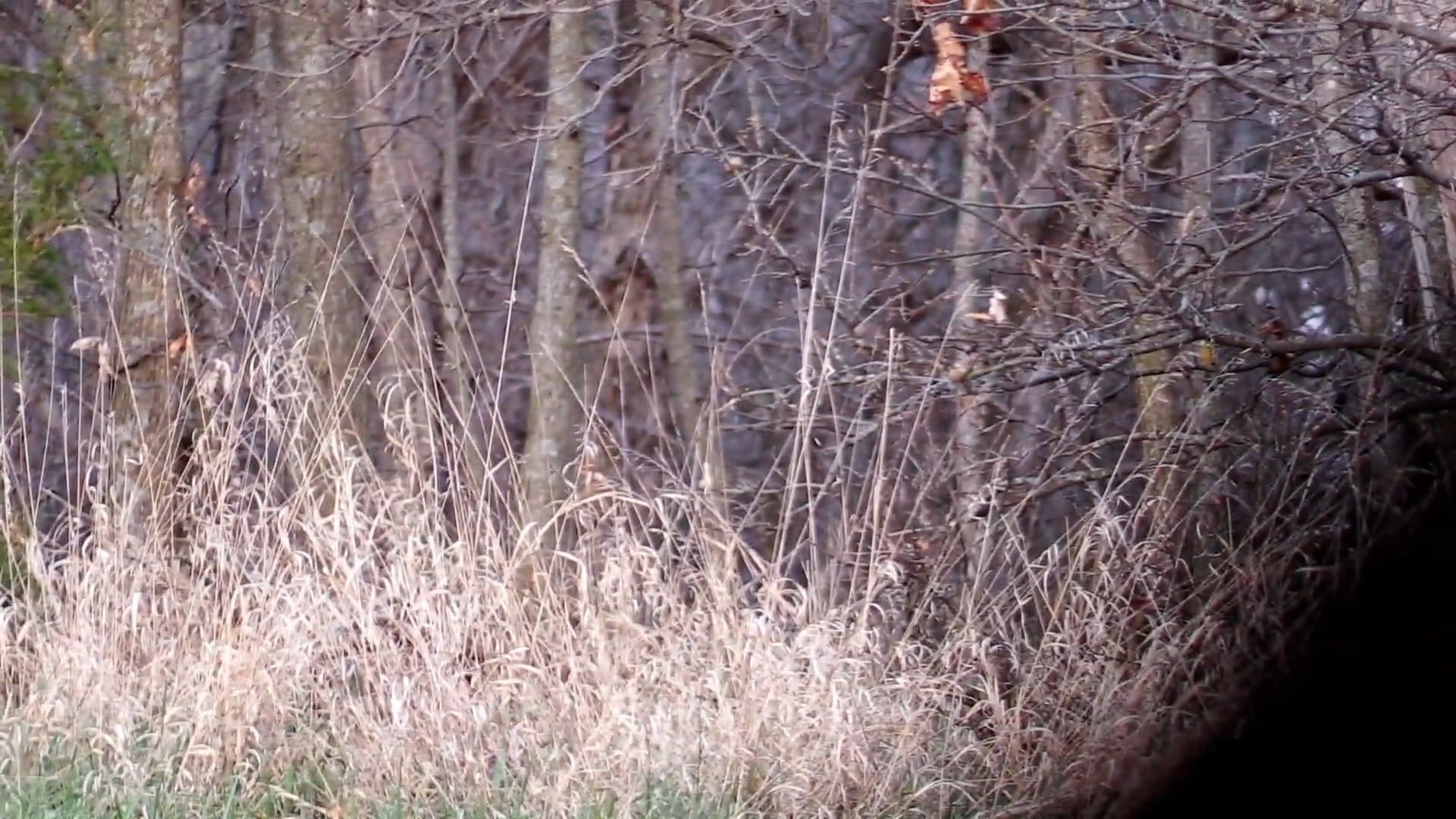 One Less Crook • NBK Episode 11 S6