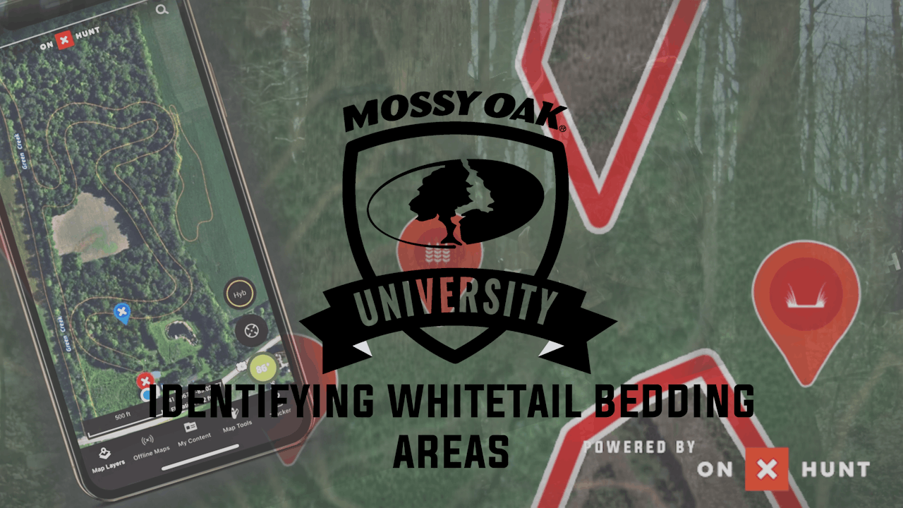 How to Find Whitetail Bedding Areas • Mossy Oak University x OnX Hunt Season 1 Mossy Oak GO