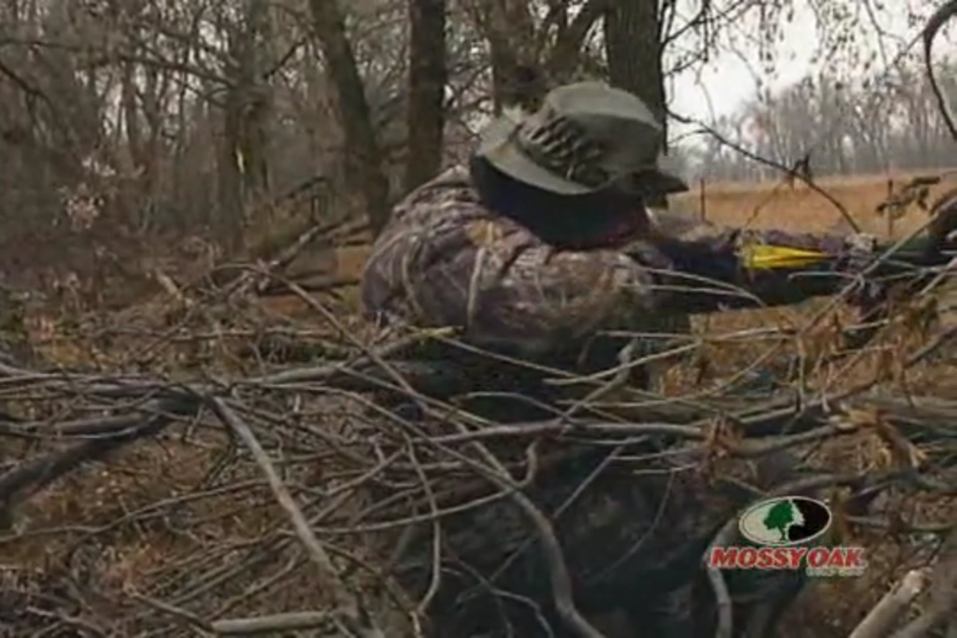 Montana Whitetail Fever • Recurve Bow Action for Bucks