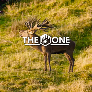 Nine Yard pt1 • The One