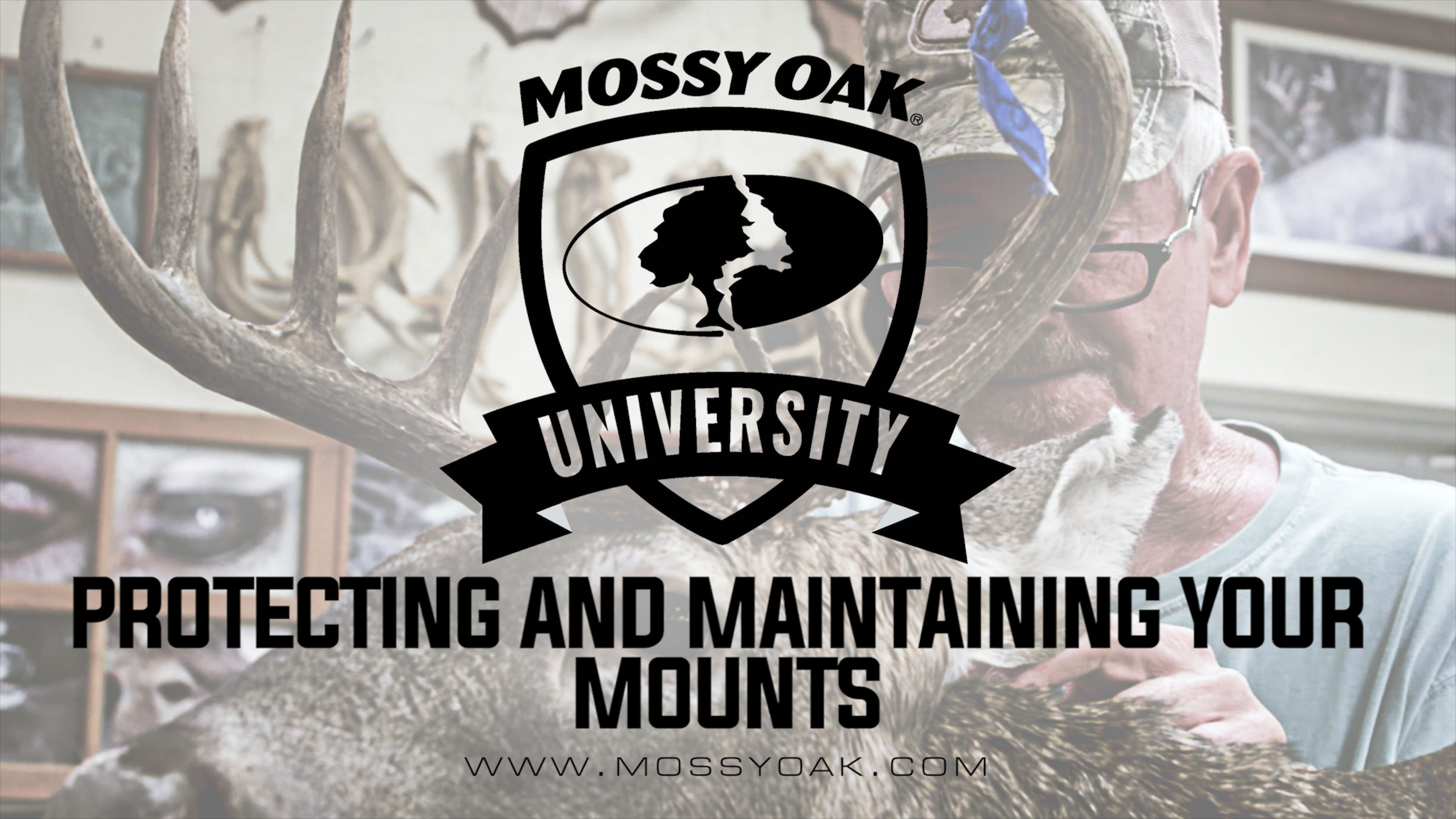 Protecting and Maintaining Your Mounts