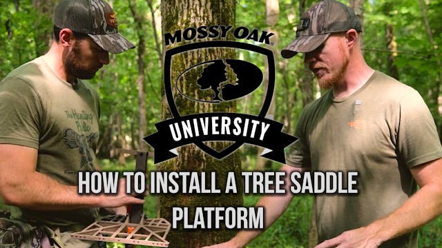 How to Install a Tree Saddle Platform