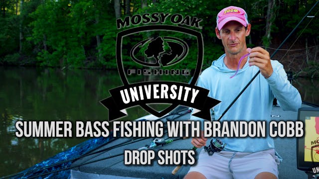 Summer Bass Fishing with Brandon Cobb...