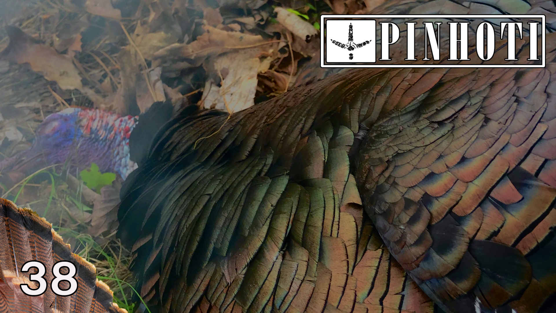 Pinhoti 2021 Ep 38 • Pinhoti Project