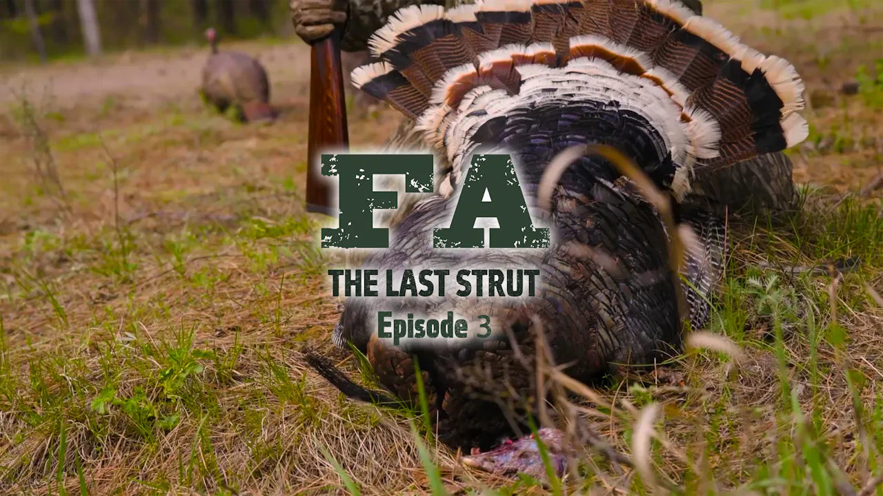 The Last Strut Episode 3 • Strutters In The Gulley - Mossy Oak GO
