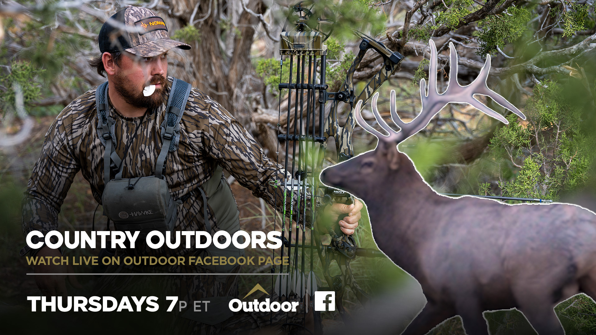 Close Calls: Zach’s Early Season Colorado Elk Hunt • Country Outdoors Adventures