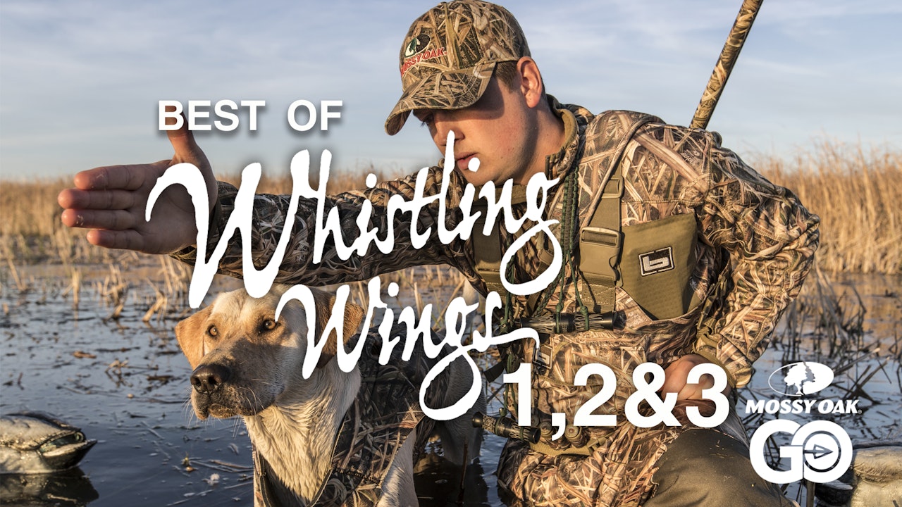 Best of Whistling Wings 123