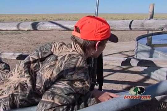 I’d Do It the Same Way • Chasing Antelope in Wyoming
