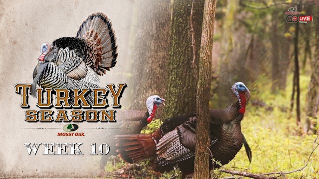 Live: 5.17.2021 Turkey Season Replay