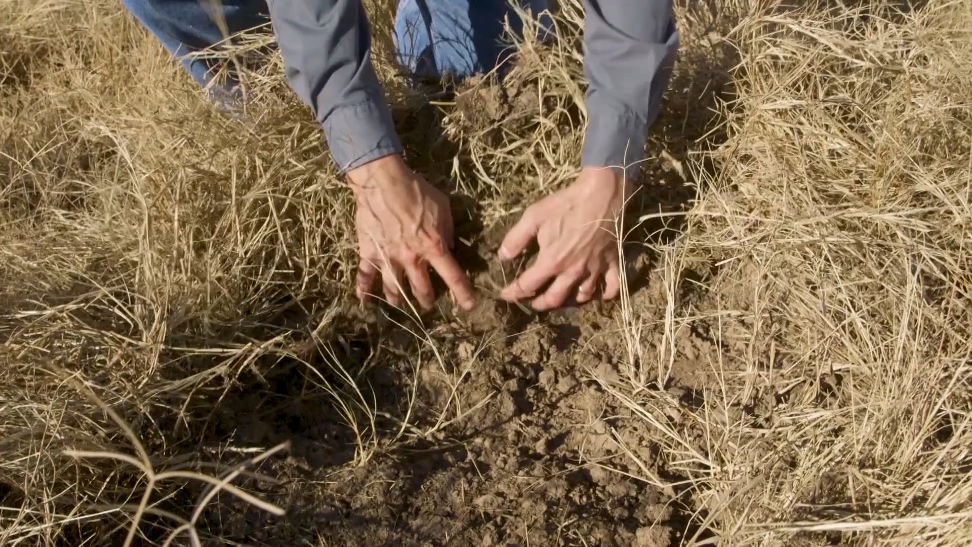 BoarBuster Traps • Controlling Wild Hog Populations with Boarbuster Traps