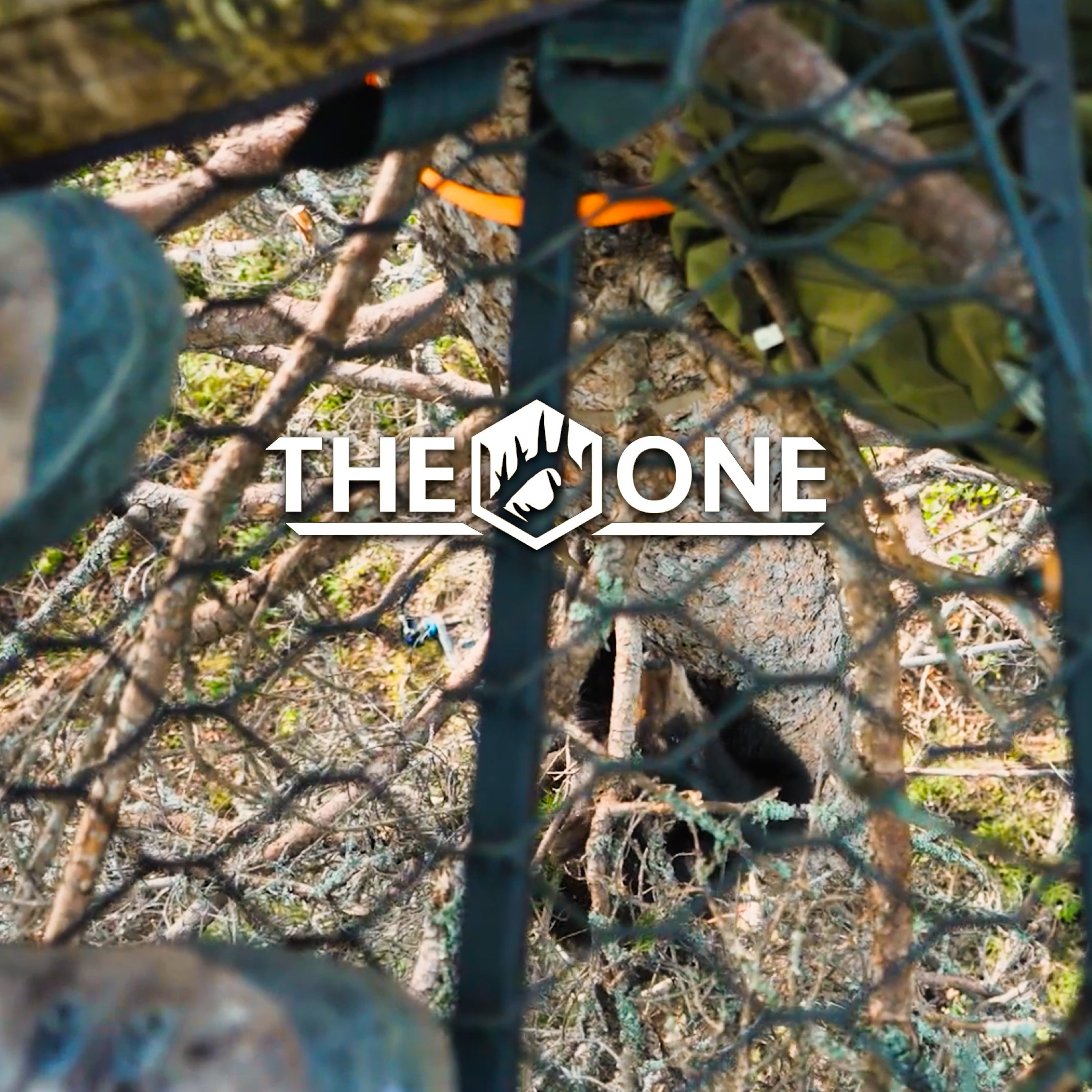 Adrenaline pt2 • The One
