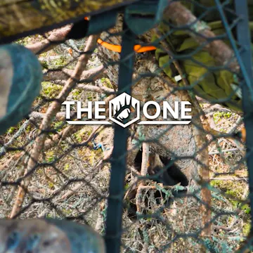 Adrenaline pt2 • The One