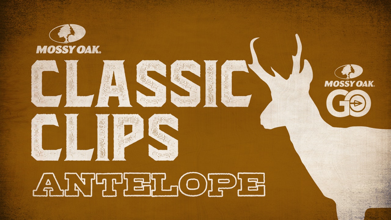 Classic Clips Antelope
