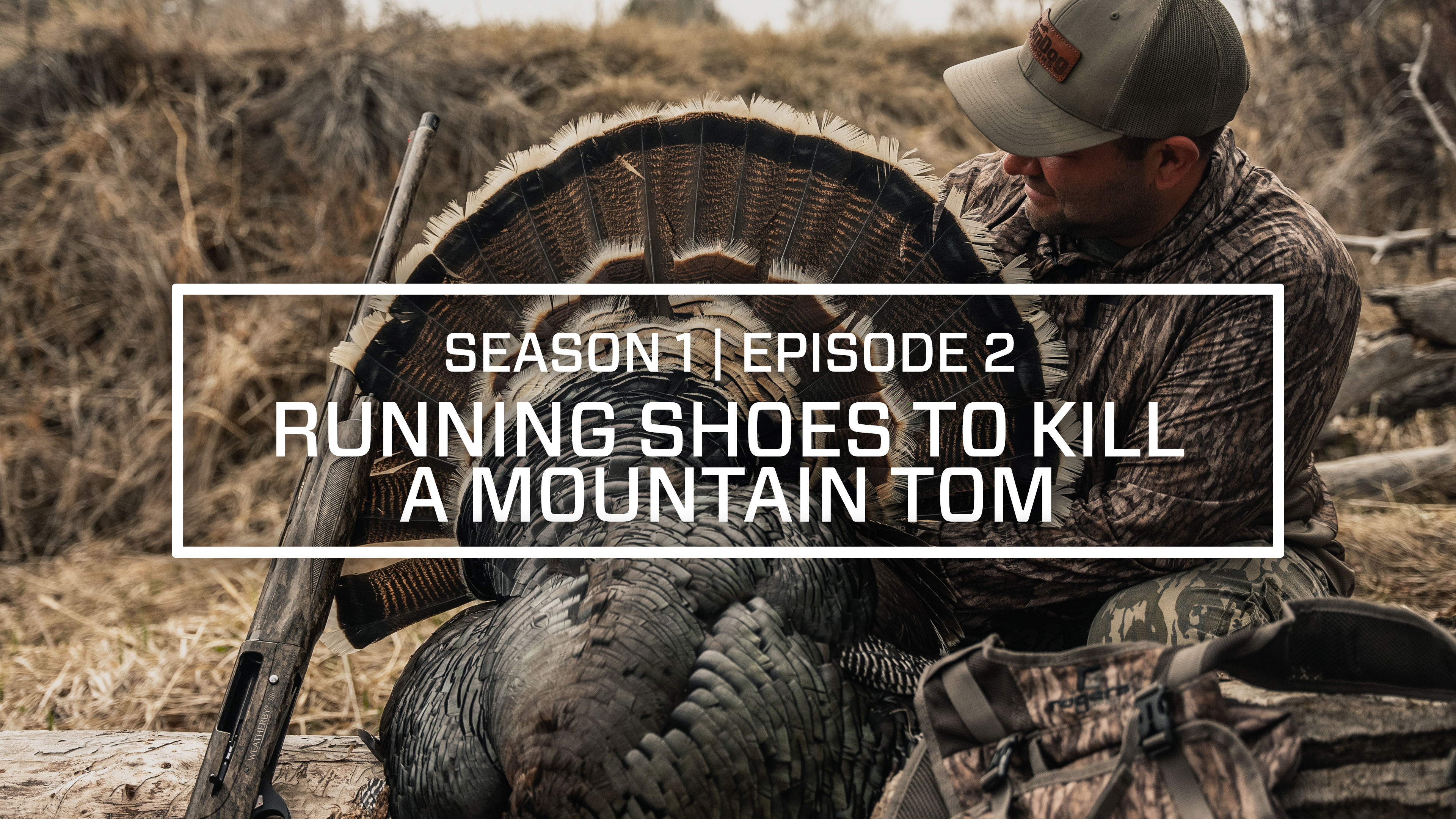 The Last Strut Episode 2 • Running Shoes To Kill A Mountain Tom