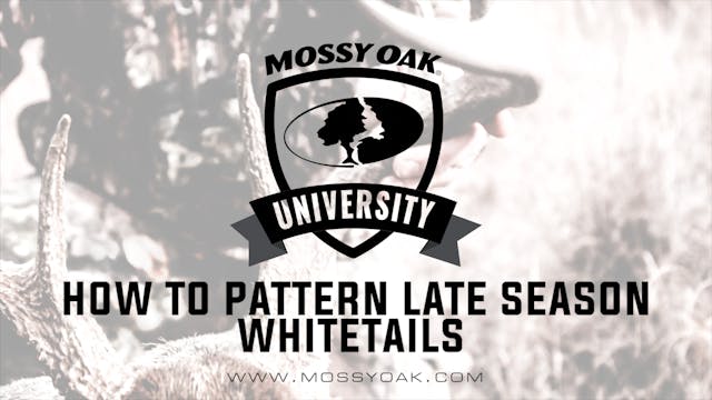 How to Pattern Late Season Whitetails
