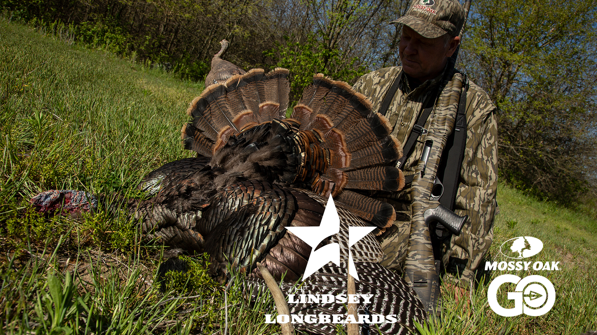 Bearded Bachelors • Lindsey Way Longbeards