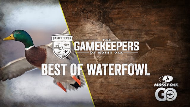 Gamekeepers of Mossy Oak • Best of Waterfowl