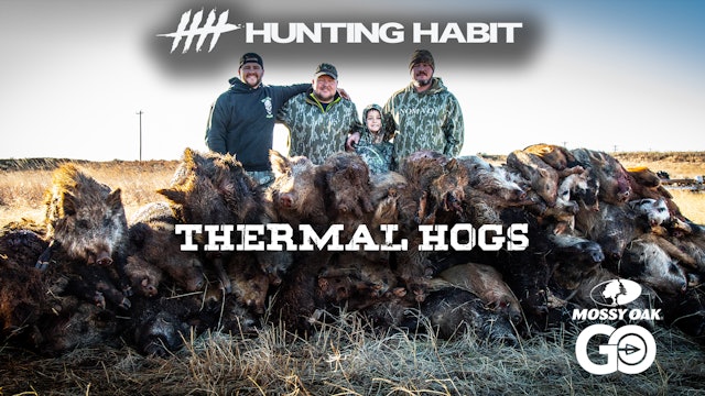 Hunting Habit · Thermal Hogs in Texas