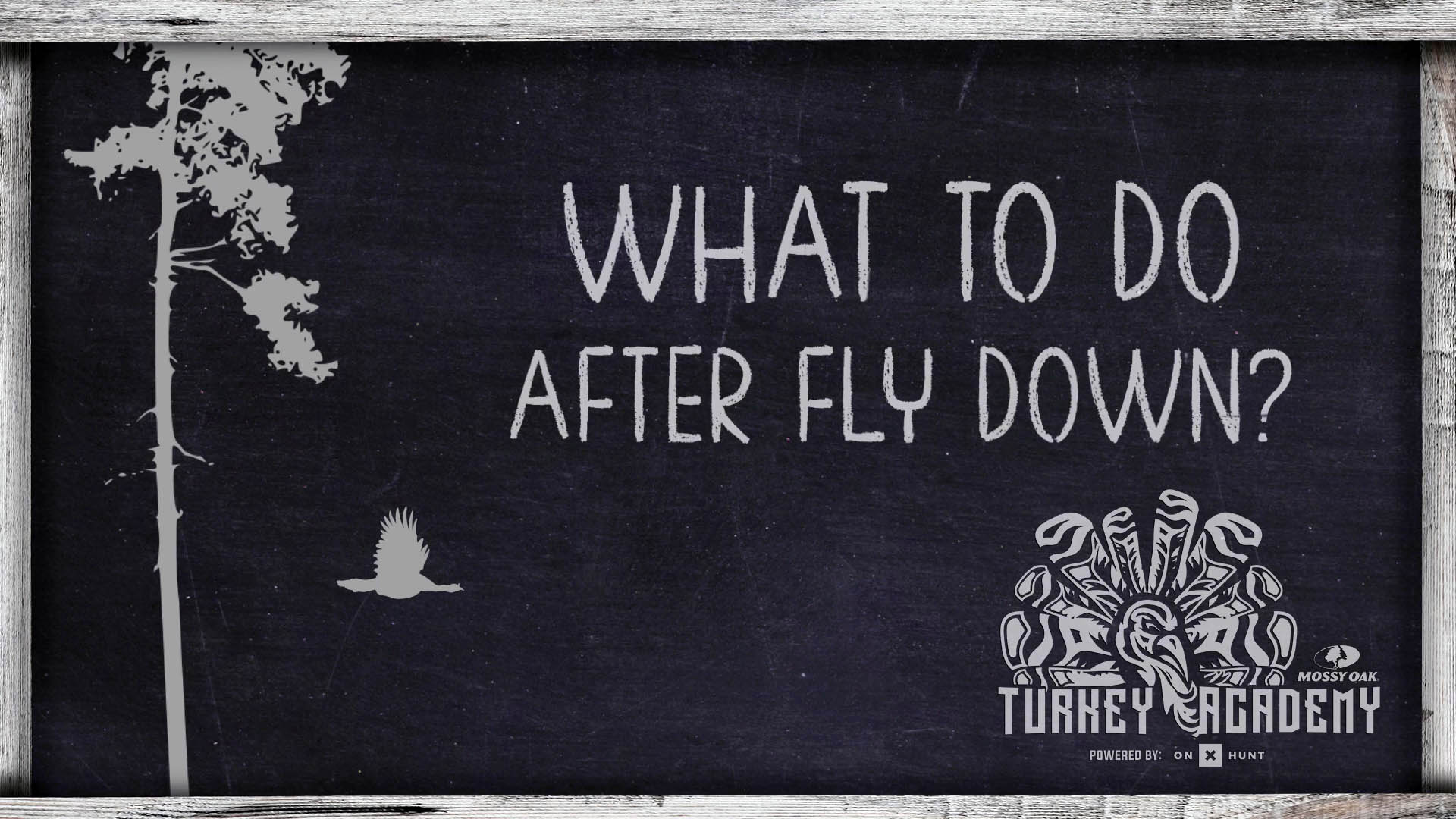 OnX Turkey Academy • Lesson 15 | After Fly Down - What To Do