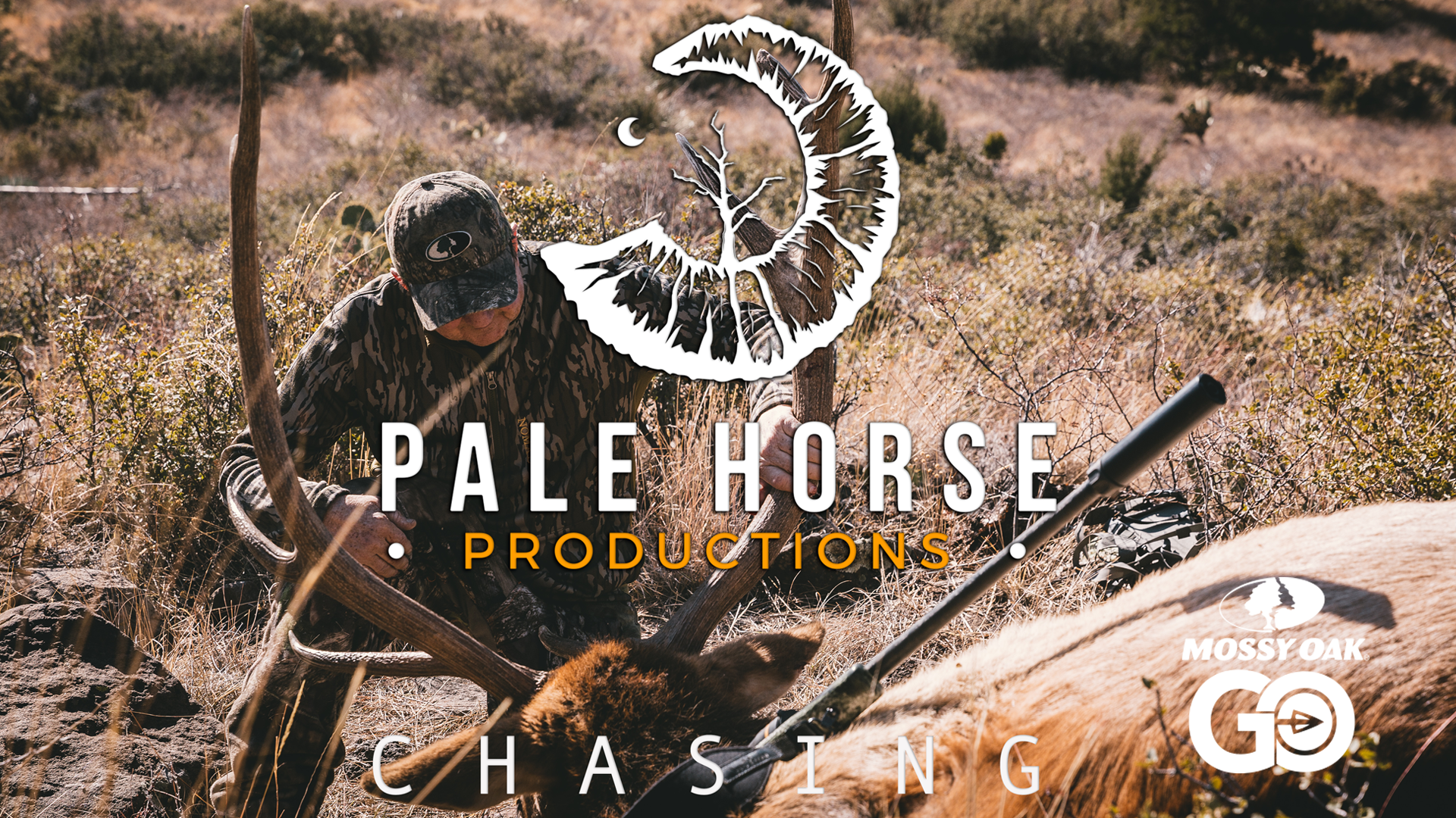 Chasing • Pale Horse
