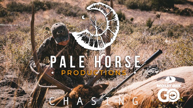 Chasing • Pale Horse