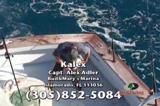 The Islamorada Sailifish Tournament P...