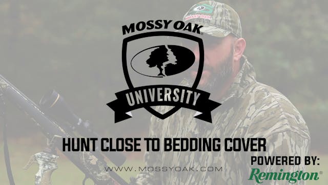 Hunt Close To Bedding Cover • Mossy O...