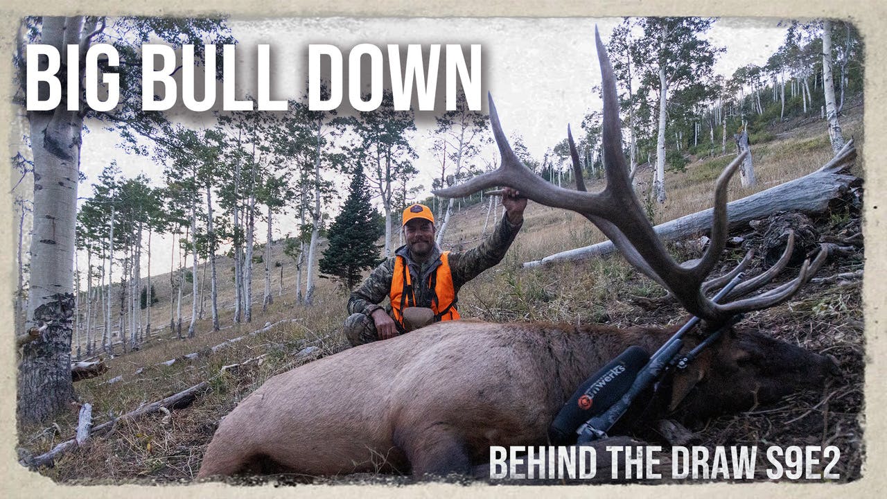 5 Day Backcountry Utah Elk Hunting • Heartland Bowhunter • Behind the