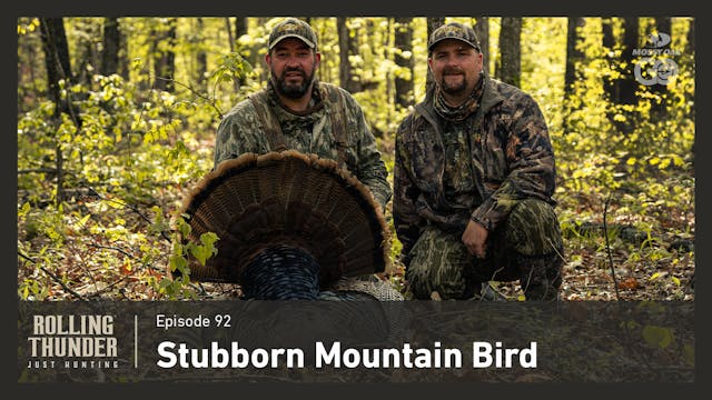 Stubborn Mountain Bird • Rolling Thun...