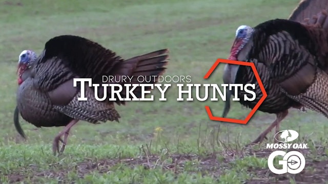 DOD TV • Turkey Hunts