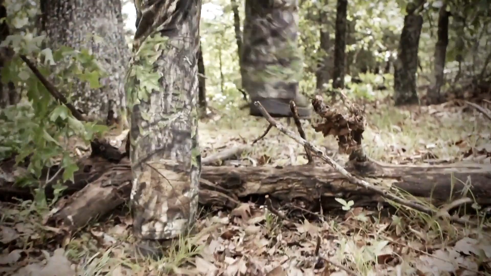 Leading from the Heart • Of Turkeys and Dreams