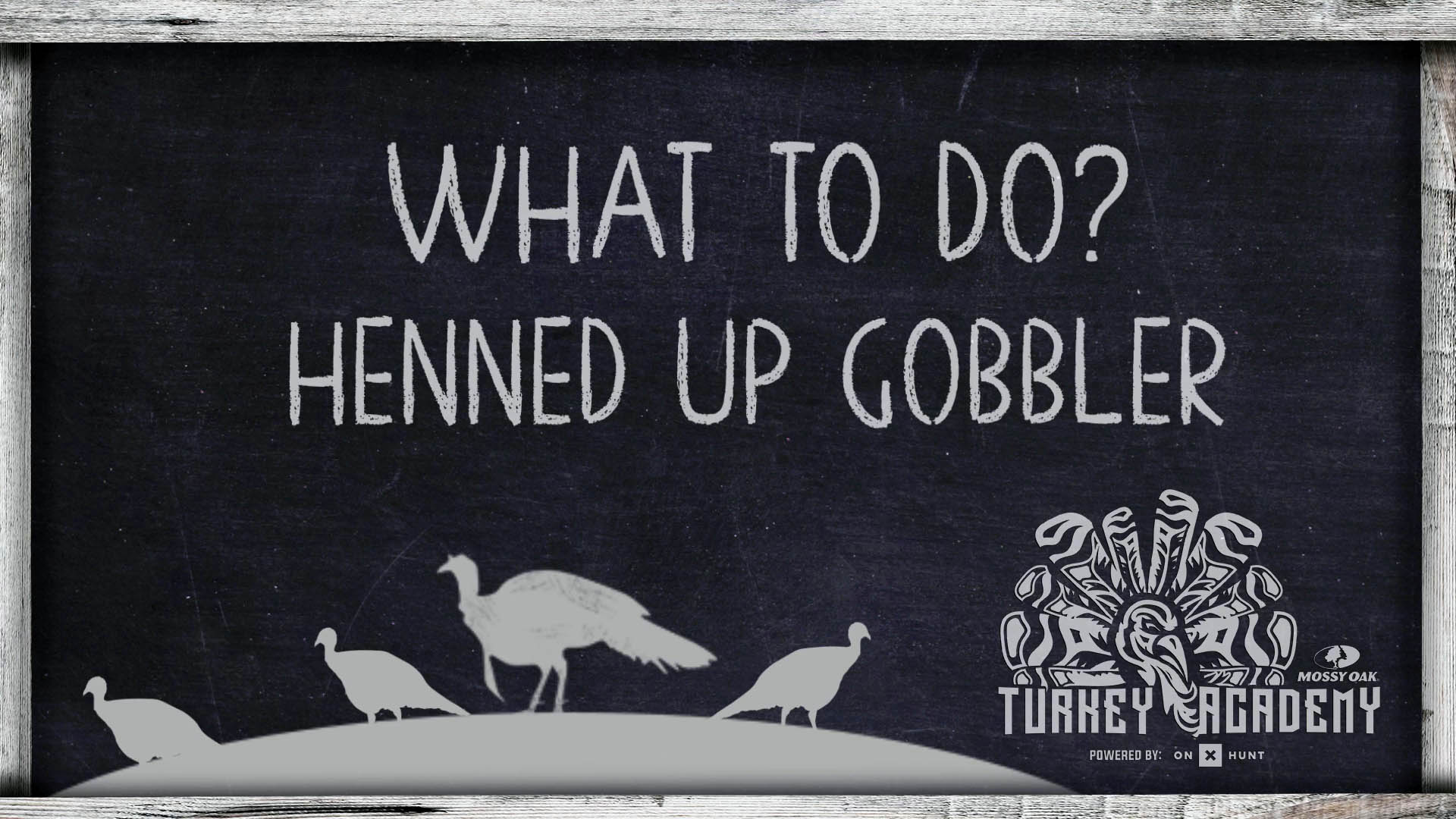 OnX Turkey Academy • Lesson 17 | Henned Up Gobbler - What To Do