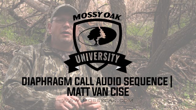 Matt Van Cise Mouth Call Audio Sequence