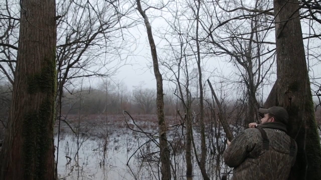 Green Timber Delta Blues  • DU TV