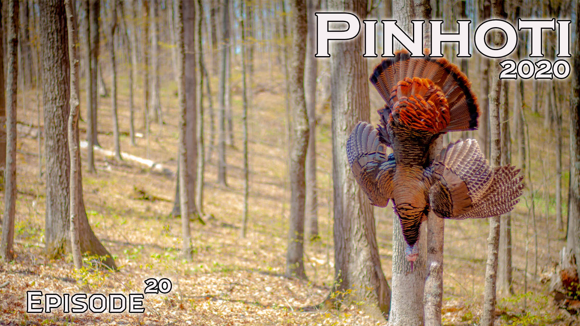 Pinhoti 2020 Ep 20 • Pinhoti Project