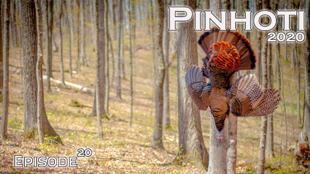 Pinhoti 2020 Ep 20 • Pinhoti Project