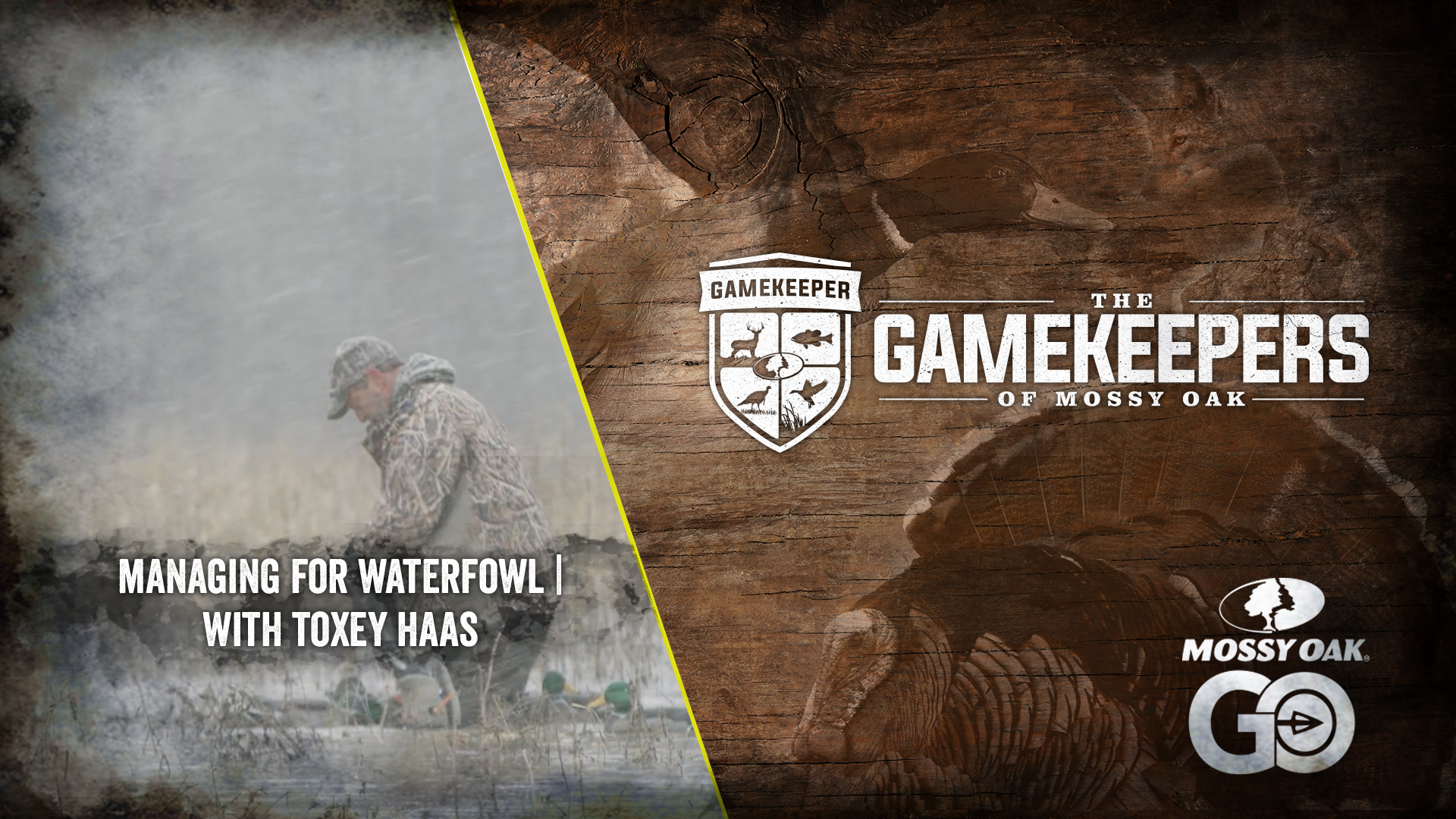 Managing for Waterfowl