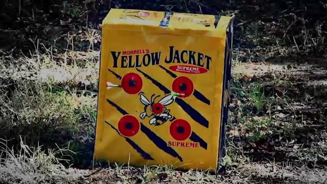 Velvet Bucks • Early Season Mississippi Hunting