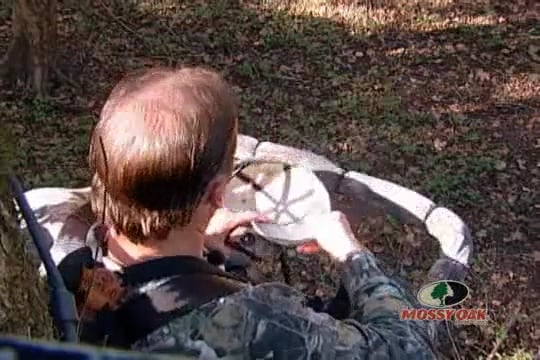 Muddy Waters • Giles Island, A Place Where Beasts Roam