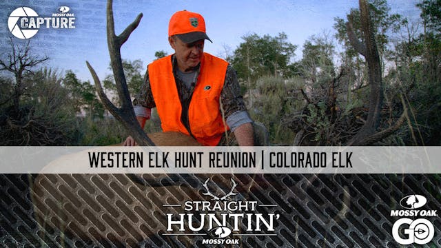 Western Elk Hunt Reunion • Straight H...