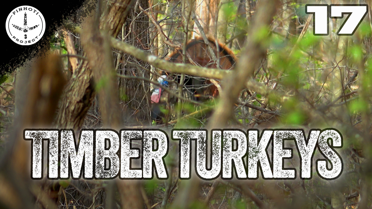 Pinhoti 2025 Ep 17 • Pinhoti Project