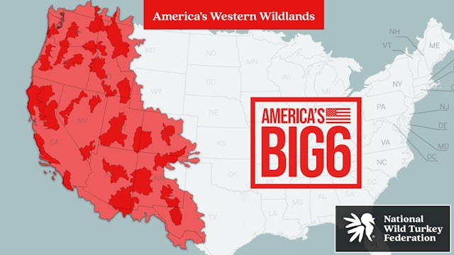 America's Western Wildlands • Merriam's and Rio Grande • The Big Six