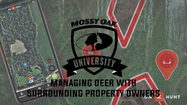 How to Manage Deer with Other Propert...